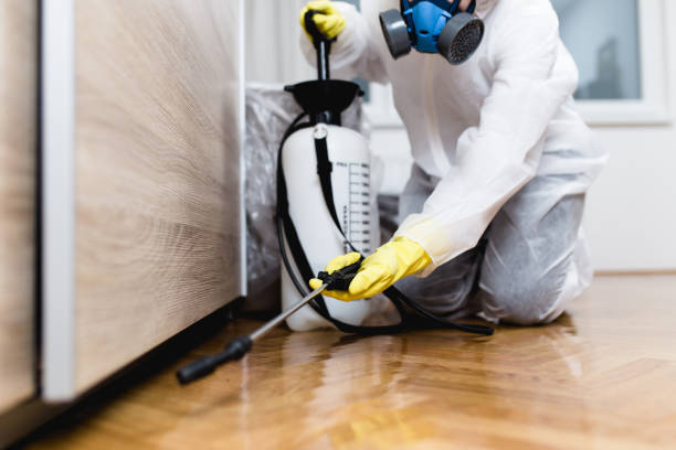 Best Pest Inspection Near Me  in Wewa, OK