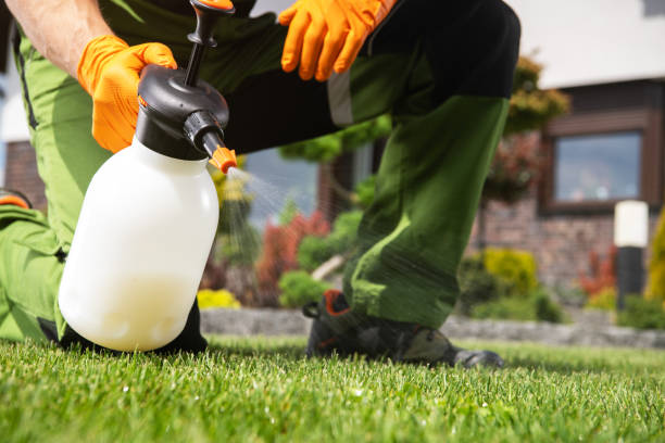 Best Mosquito Control Services  in Wewa, OK