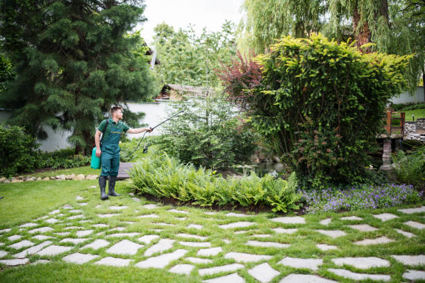 Best Affordable Pest Control Services  in Wewa, OK
