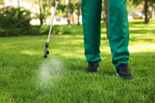 Best Affordable Pest Control Services  in Wewa, OK