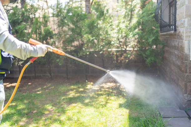 Trusted Wewoka, OK Pest Control Experts