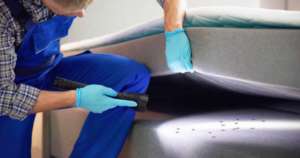 Best Exterminator Services  in Wewa, OK