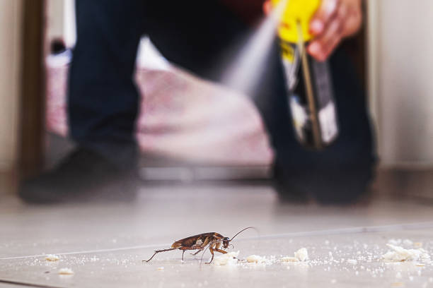 Best Bed Bug Extermination  in Wewa, OK