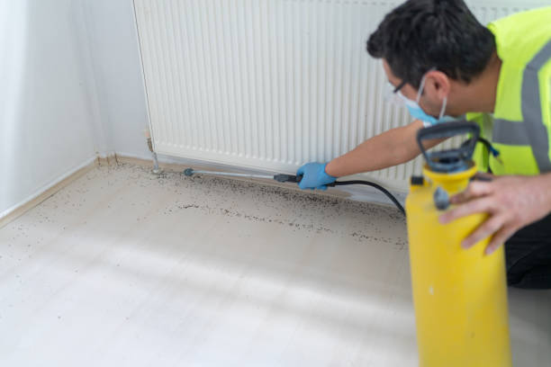 Best Local Pest Control Services  in Wewa, OK